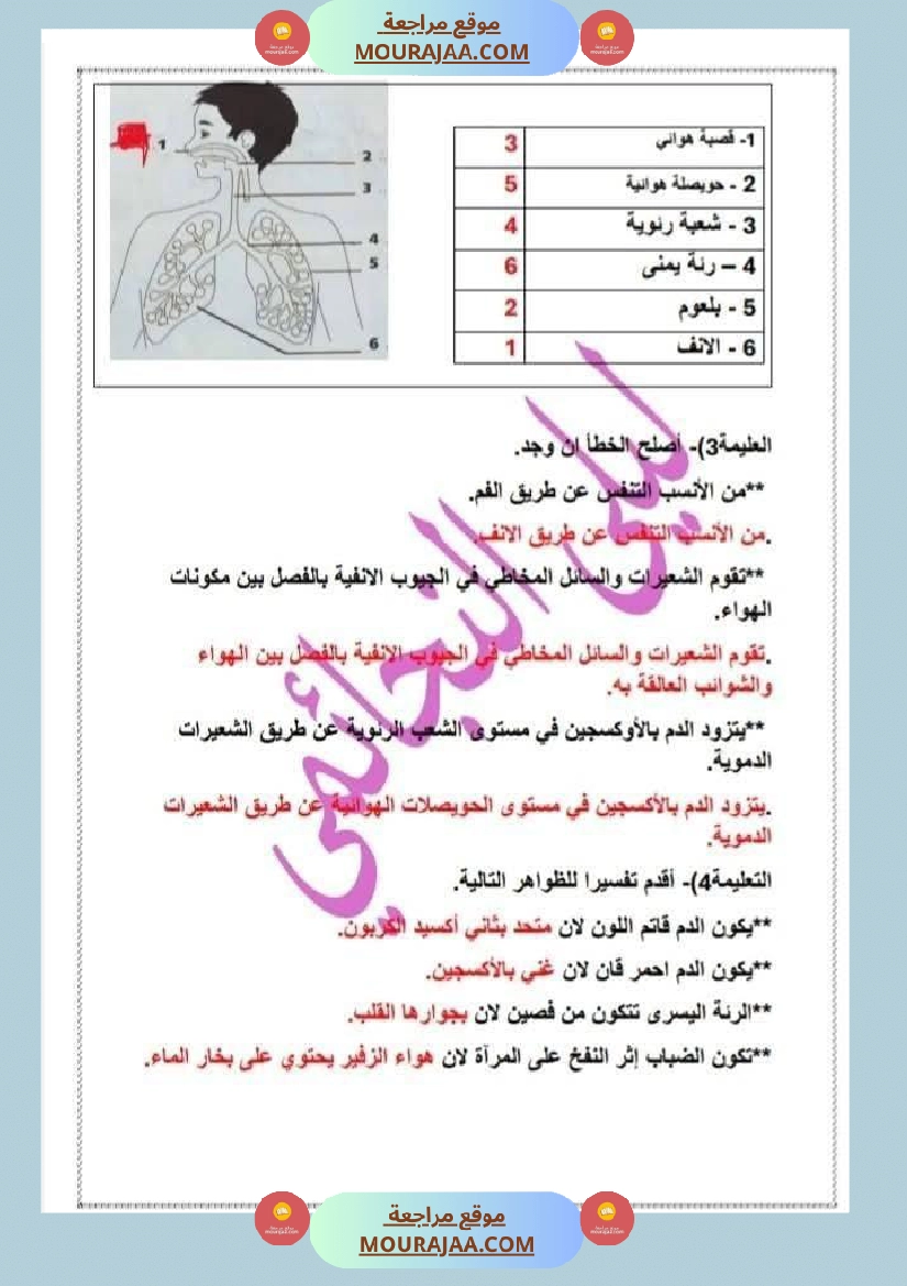 السنة السادسة إختبار نهاية الثلاثي الأول في مادة الإيقاظ العلمي مرفق بالإصلاح صفحة 9