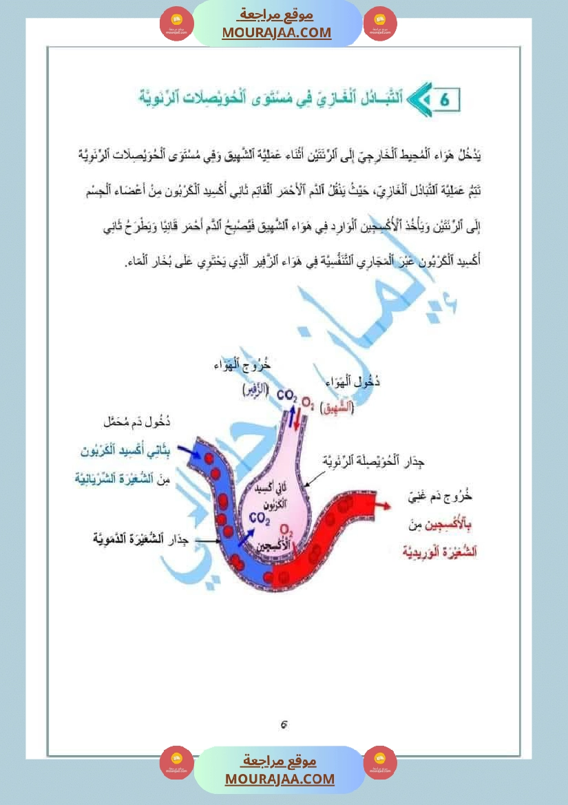 سادسة إبتدائي ايقاظ علمي الثلاثي الاول ملخصات دروس الدرس 1 الهواء ضروري لحياة الكائنات الحية صفحة 7