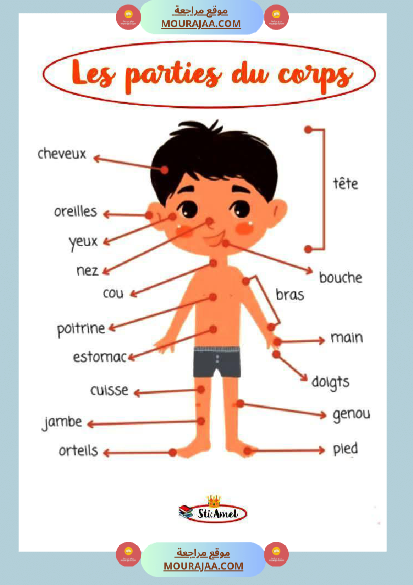 les parties du corps 3eme