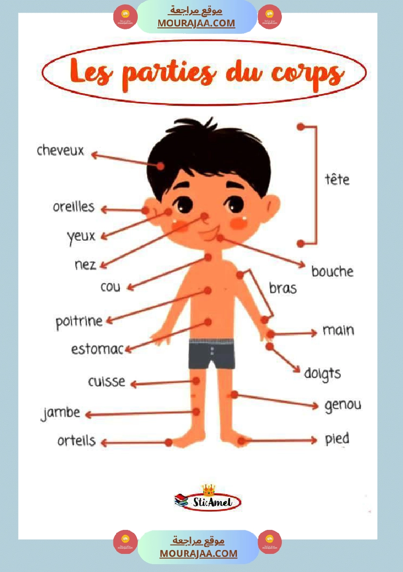 les parties du corps 3eme