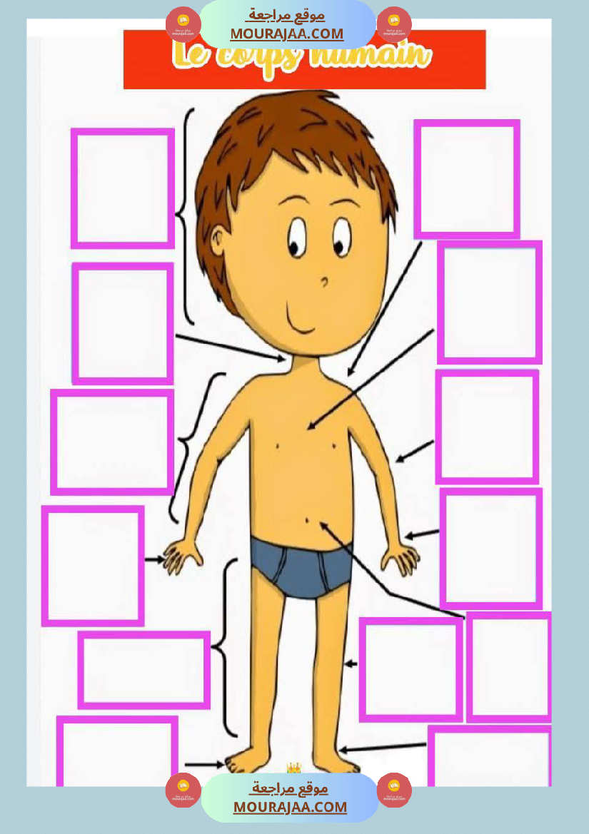 les parties du corps 3eme