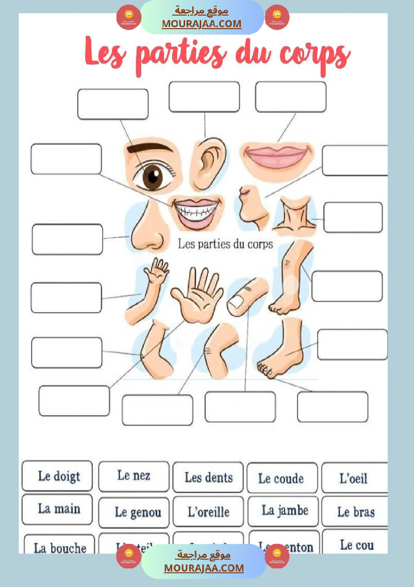 les parties du corps 3eme