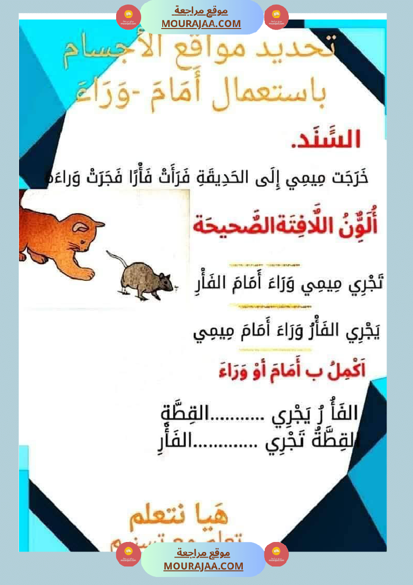 السنة الاولى رياضيات وايقاظ رياضيات تنظيم الفضاء أنواع الخطوط المجموعات ايقاظ الحواس علم