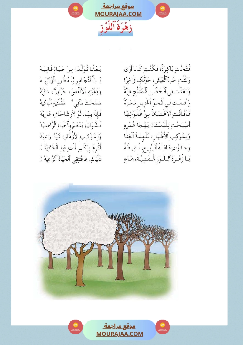 محفوظات زهرة اللوز