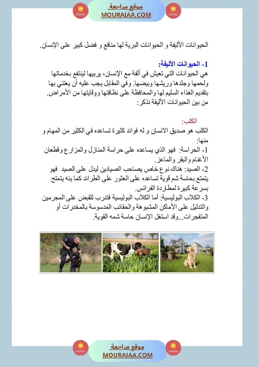 الحيوانات الاليفة و البرية منافعها و مضارها صفحة 2