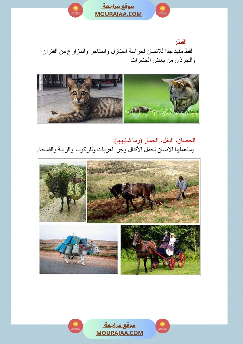 الحيوانات الاليفة و البرية منافعها و مضارها صفحة 3