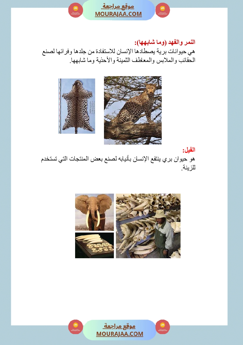 الحيوانات الاليفة و البرية منافعها و مضارها صفحة 6