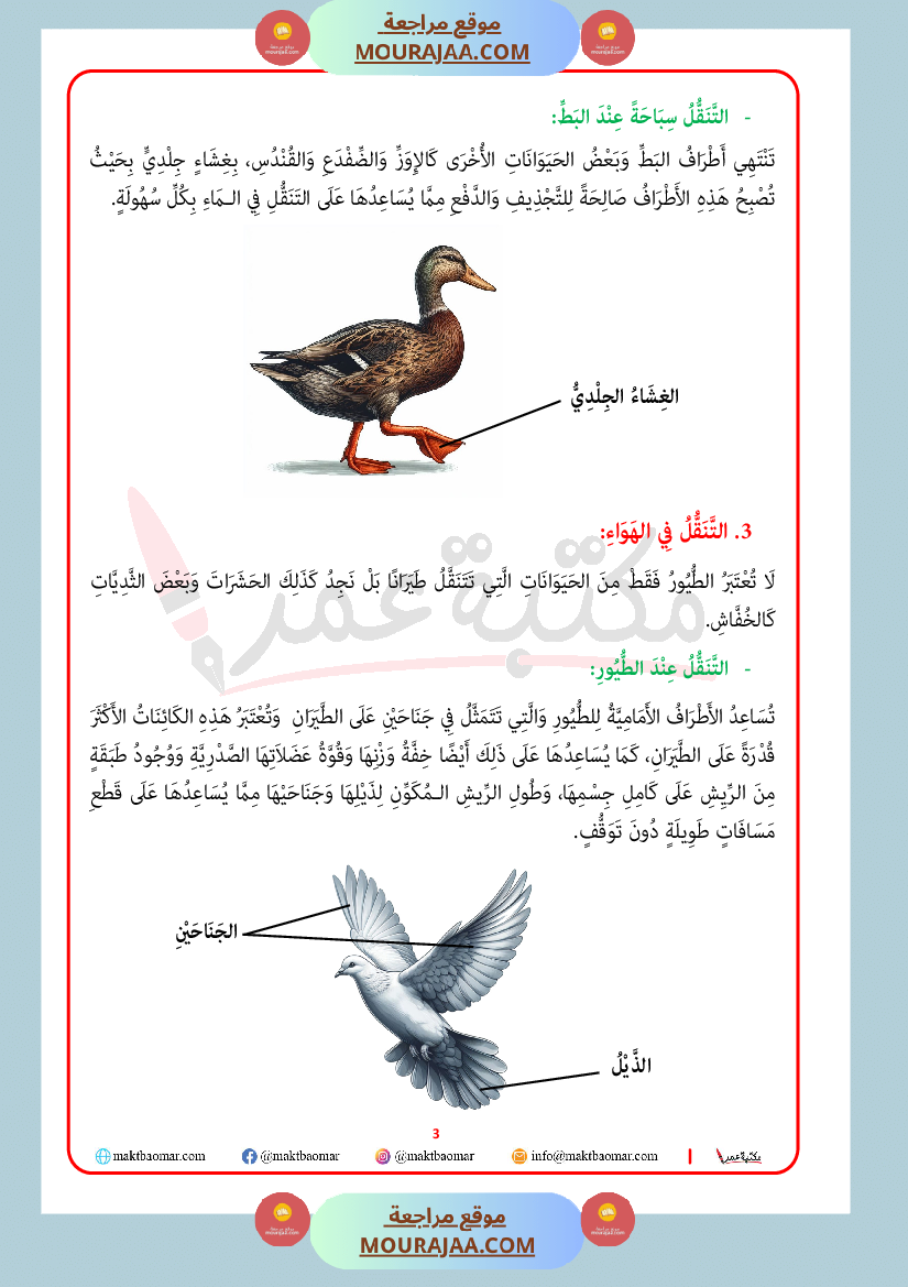 انماط التنقل عند الحيوان سنة الرابعة