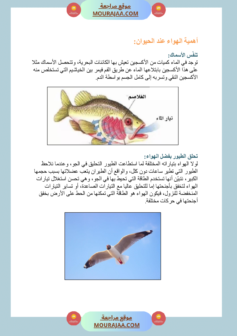 الهواء ضروري للكائنات الحية سنة السادسة