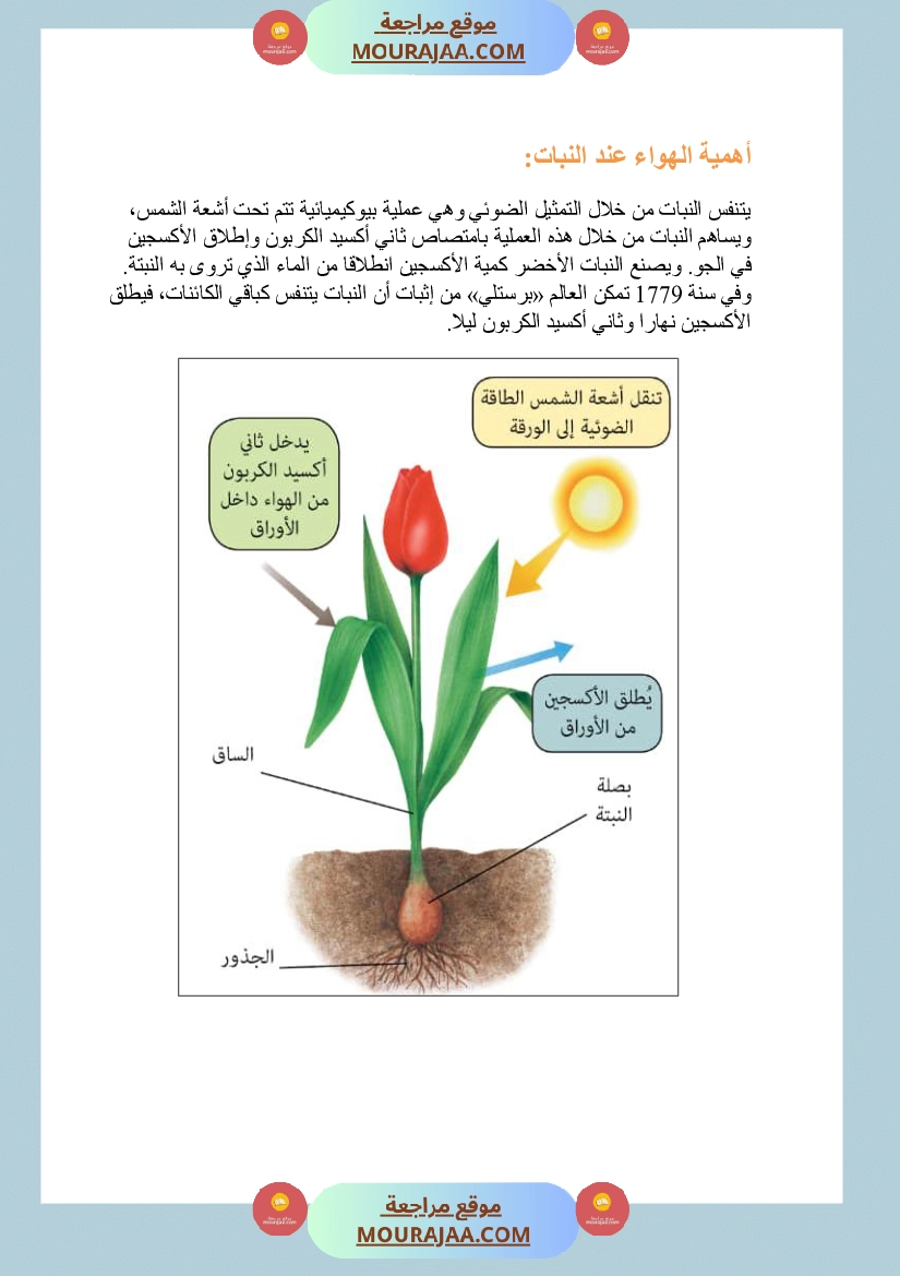 الهواء ضروري للكائنات الحية سنة السادسة صفحة 3