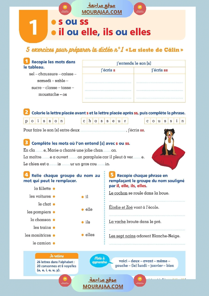 فرنسية السنة الرابعة