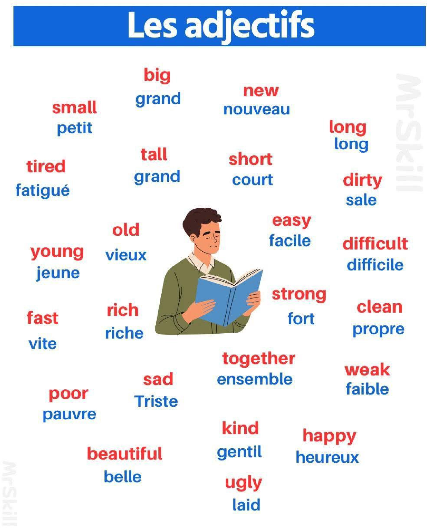 les adjectifs affichage