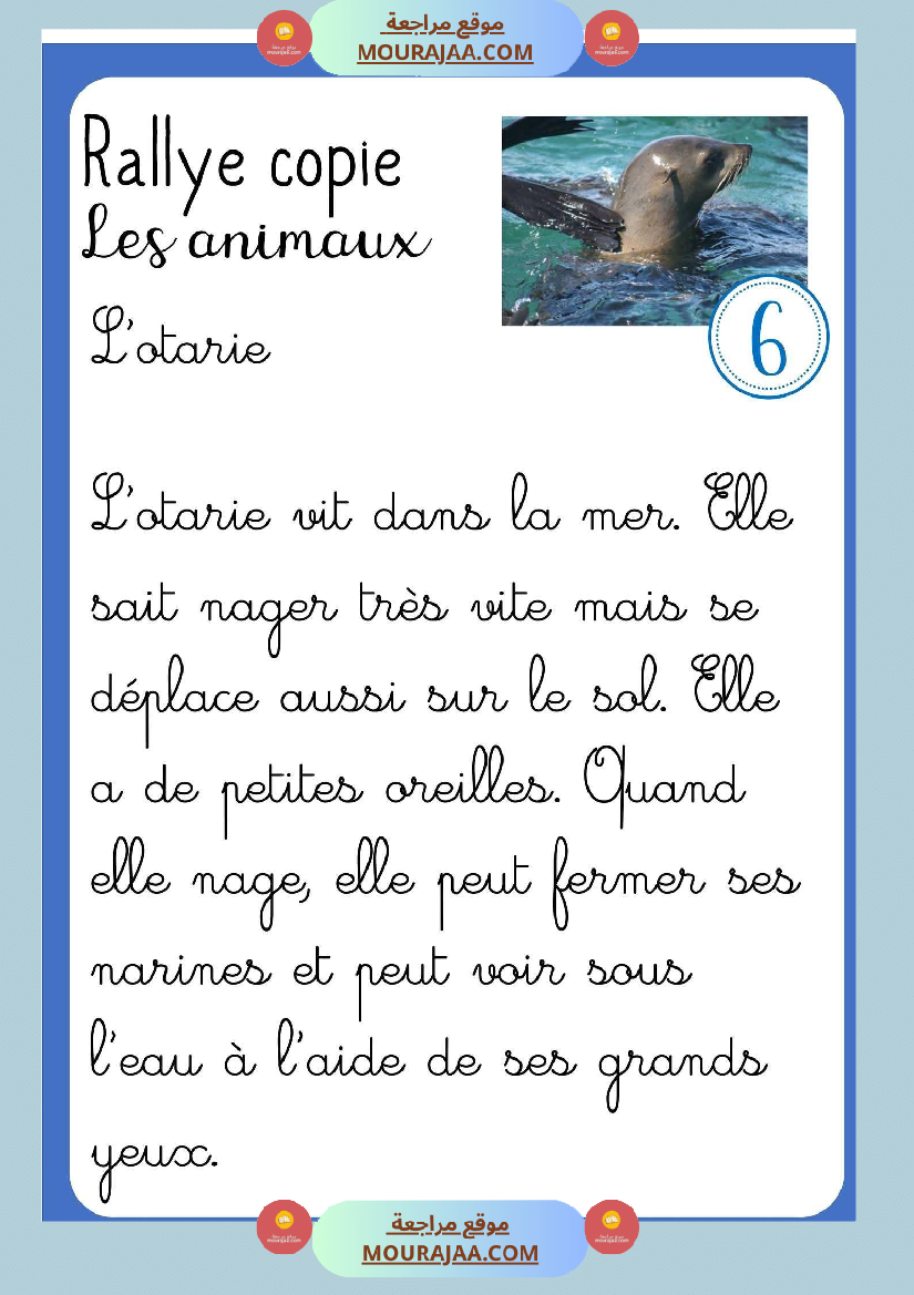 انتاج كتابي لغة فرنسية وصف حيوانات