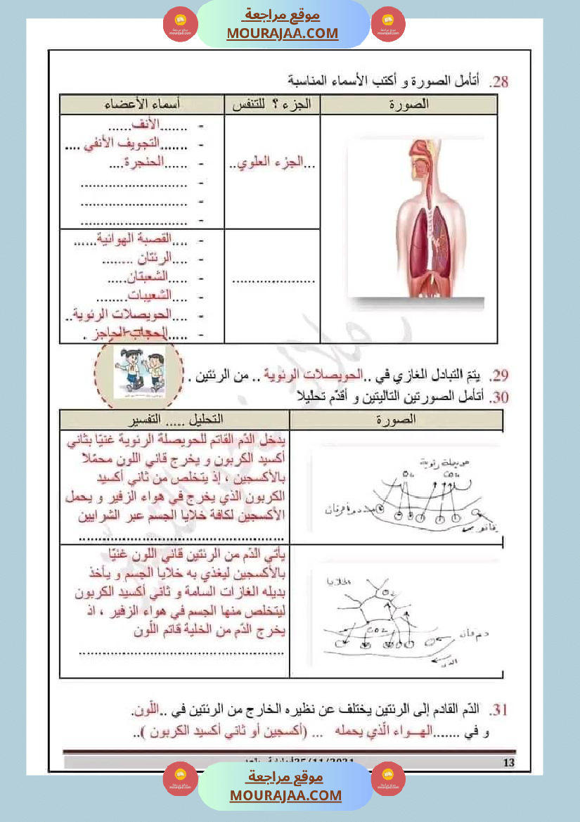مراجعة شاملة لدروس الثلاثي الأول في الايقاظ العلمي السنة السادسة مرفقة بالاصلاح الهواء