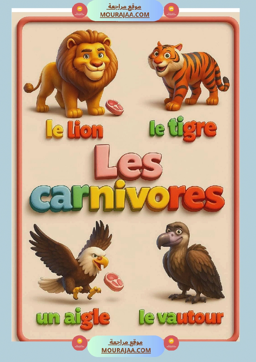 les animaux carnivores