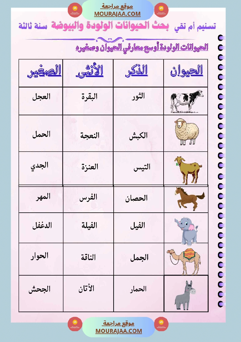 السنة الثالثة بحوث في الايقاظ العلمي الثلاثي الاول مرفقة بتطبيقات صفحة 7