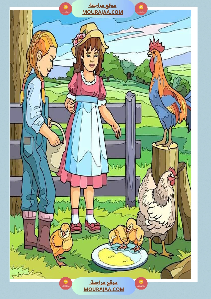 5eme unite mes amis les animaux des supports visuels صفحة 3