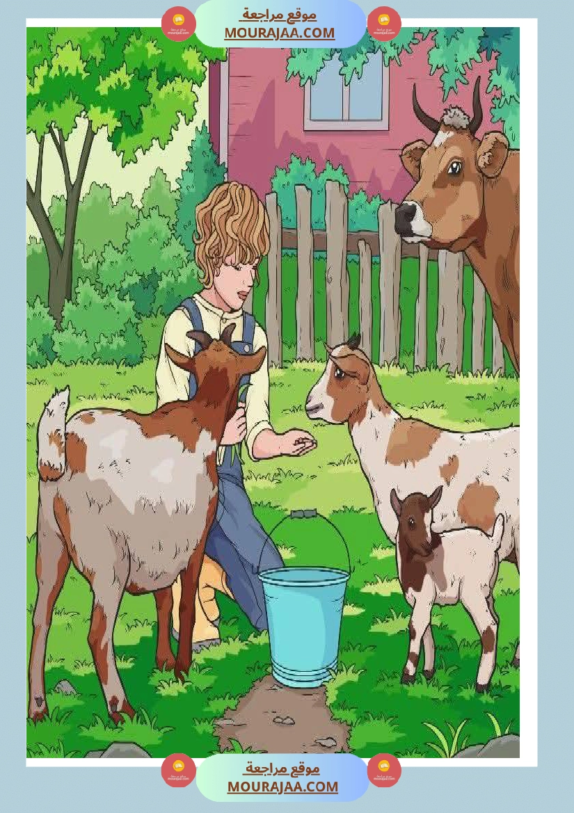 5eme unite mes amis les animaux des supports visuels صفحة 6