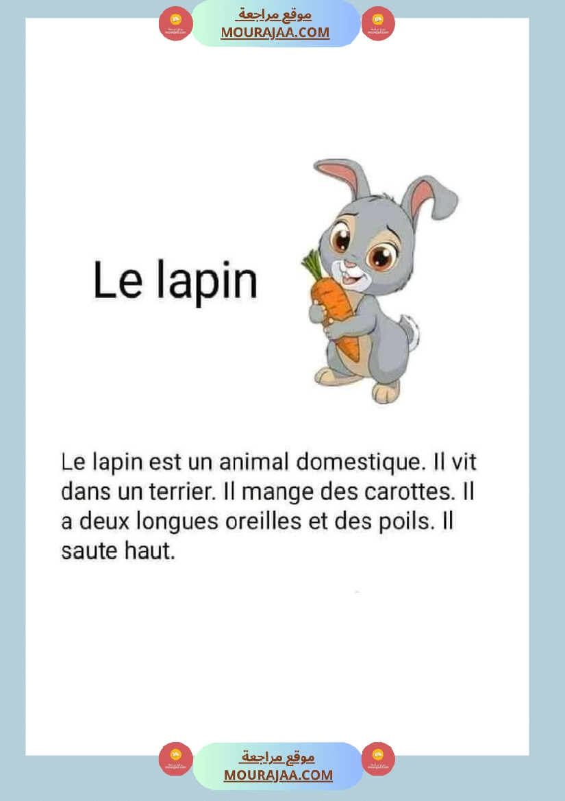 module 5 production ecrite la description dun animal 5eme صفحة 13