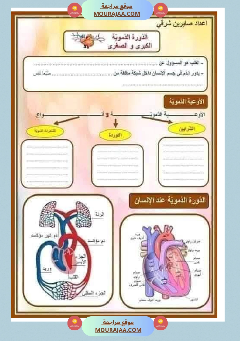 الدورة الدموية الصغرى والدورة الدموية الكبرى والدارة الكهربائية للسنة الخامسة صفحة 11