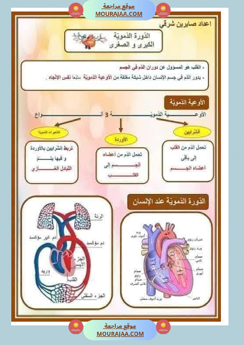 الدورة الدموية الصغرى والدورة الدموية الكبرى والدارة الكهربائية للسنة الخامسة