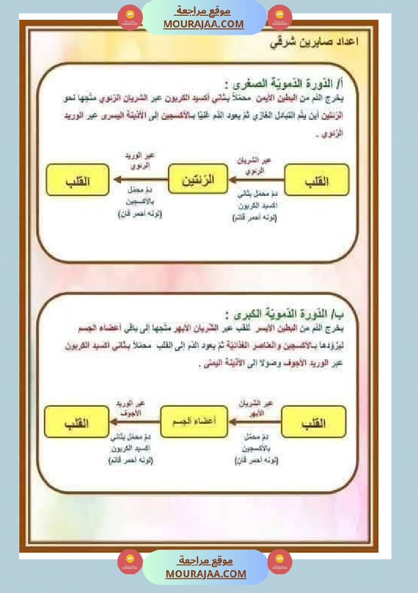 الدورة الدموية الصغرى والدورة الدموية الكبرى والدارة الكهربائية للسنة الخامسة صفحة 15
