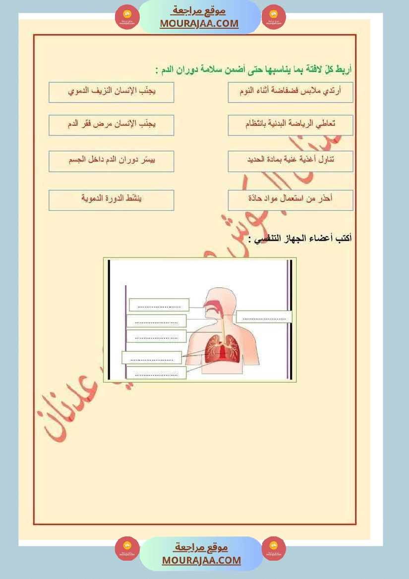 الدورة الدموية الصغرى والدورة الدموية الكبرى والدارة الكهربائية للسنة الخامسة صفحة 19