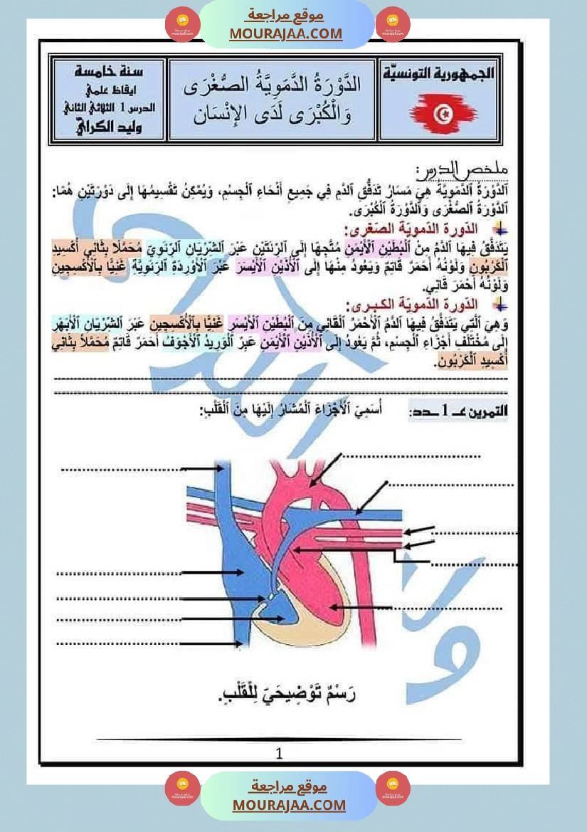 الدورة الدموية الصغرى والدورة الدموية الكبرى والدارة الكهربائية للسنة الخامسة صفحة 26