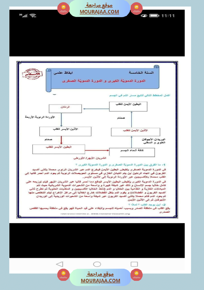 الدورة الدموية الصغرى والدورة الدموية الكبرى والدارة الكهربائية للسنة الخامسة