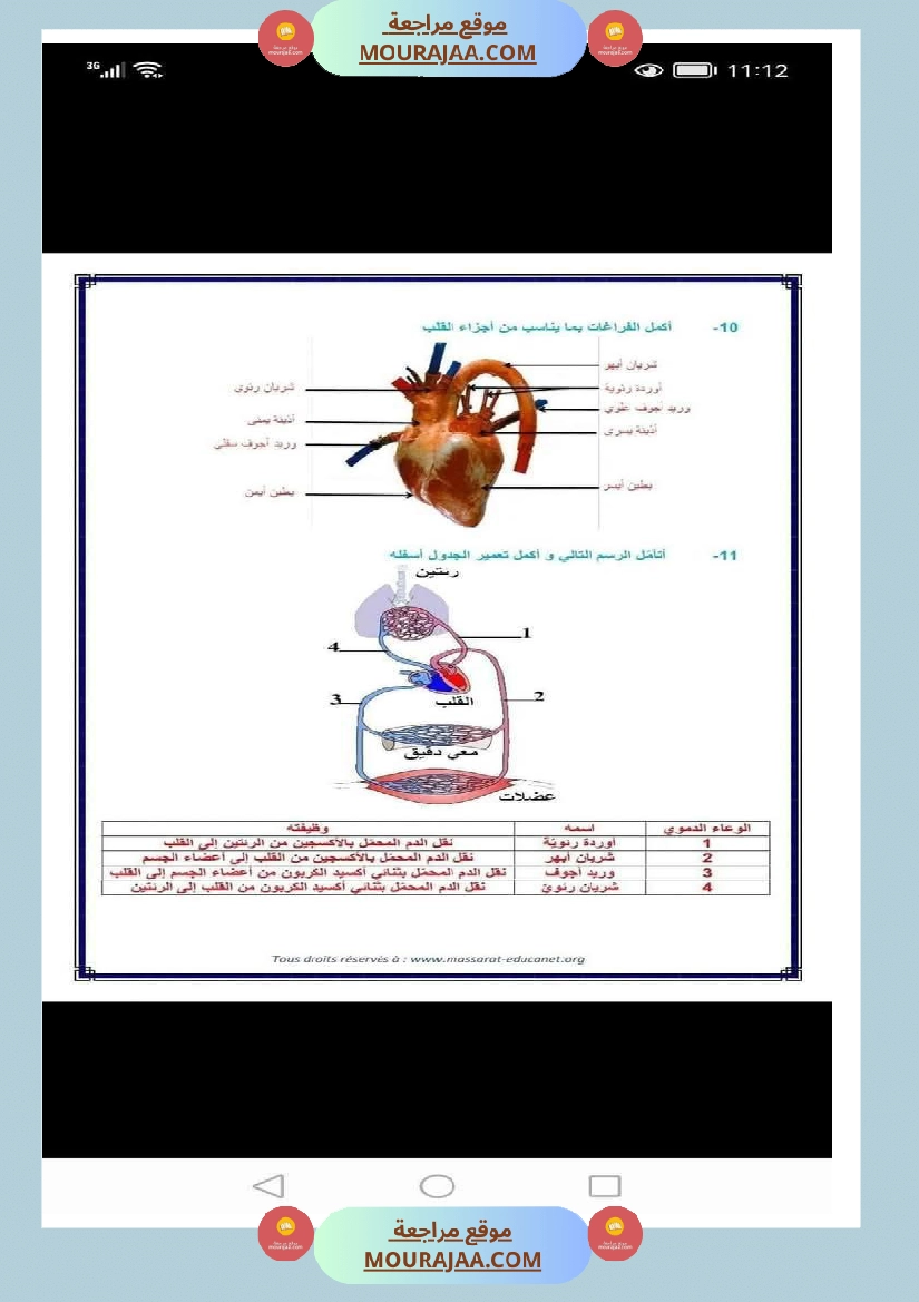 الدورة الدموية الصغرى والدورة الدموية الكبرى والدارة الكهربائية للسنة الخامسة صفحة 7