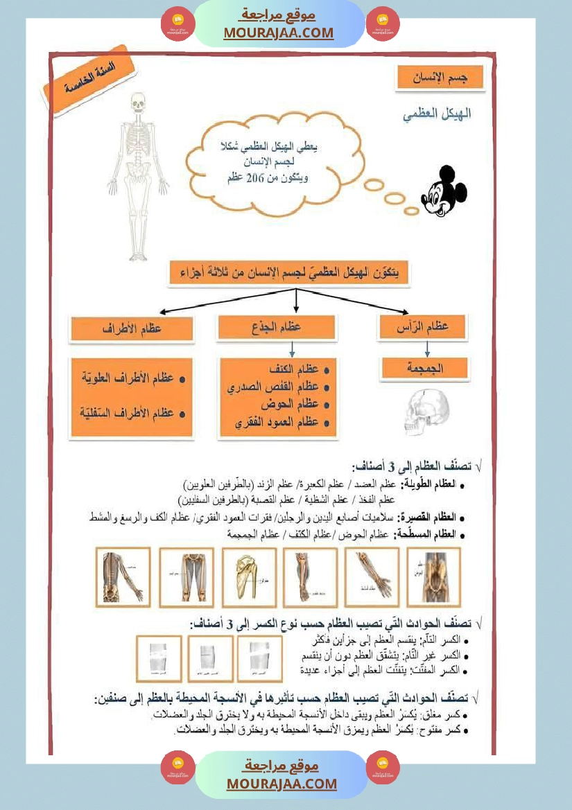 تلخيص الايقاظ العلمي سنة خامسة