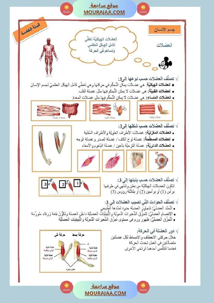 تلخيص الايقاظ العلمي سنة خامسة صفحة 3