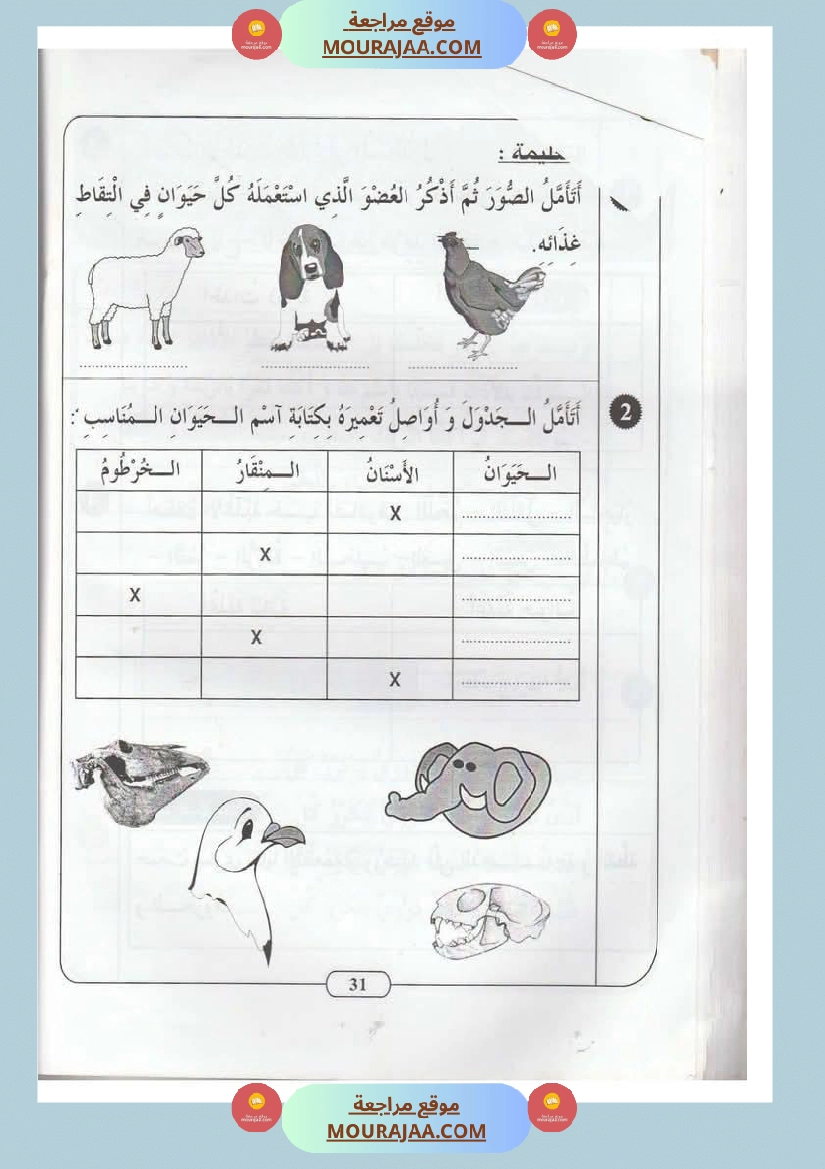 اختبارات مجمعة في الايقاظ العلمي لأبطال السنة الثانية صفحة 13