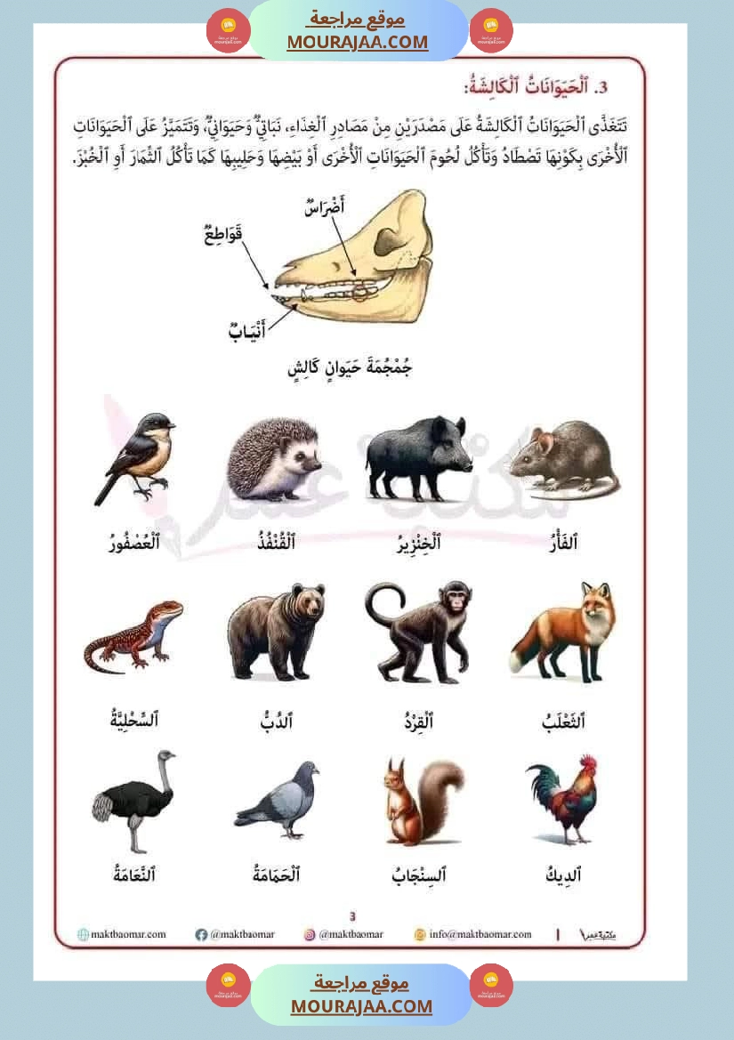 تصنيف الحيوانات حسب غذائها سنة الثانية صفحة 2