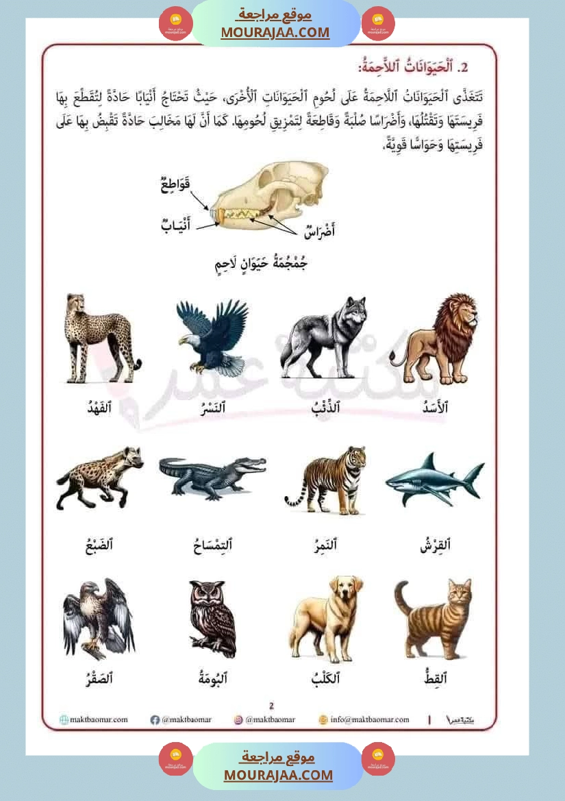 تصنيف الحيوانات حسب غذائها سنة الثانية صفحة 3