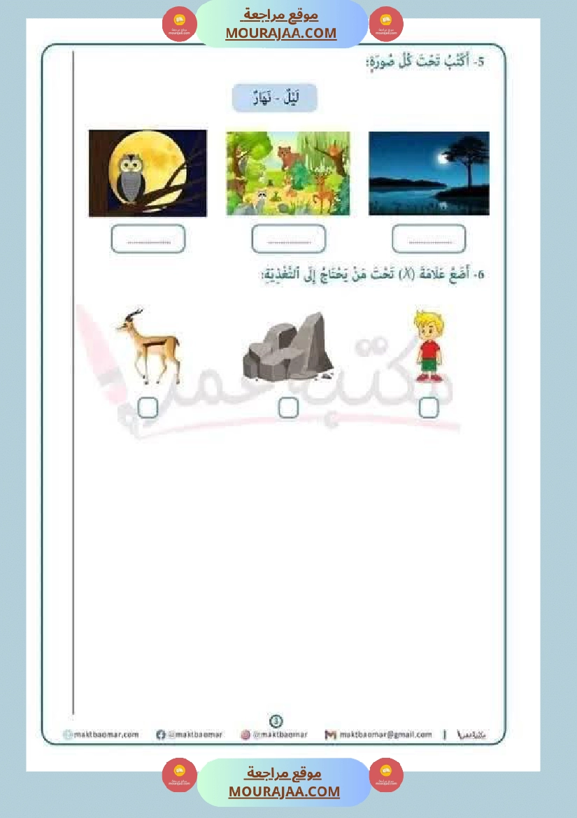 ايقاظ علمي لأبطال السنة الاولى صفحة 13