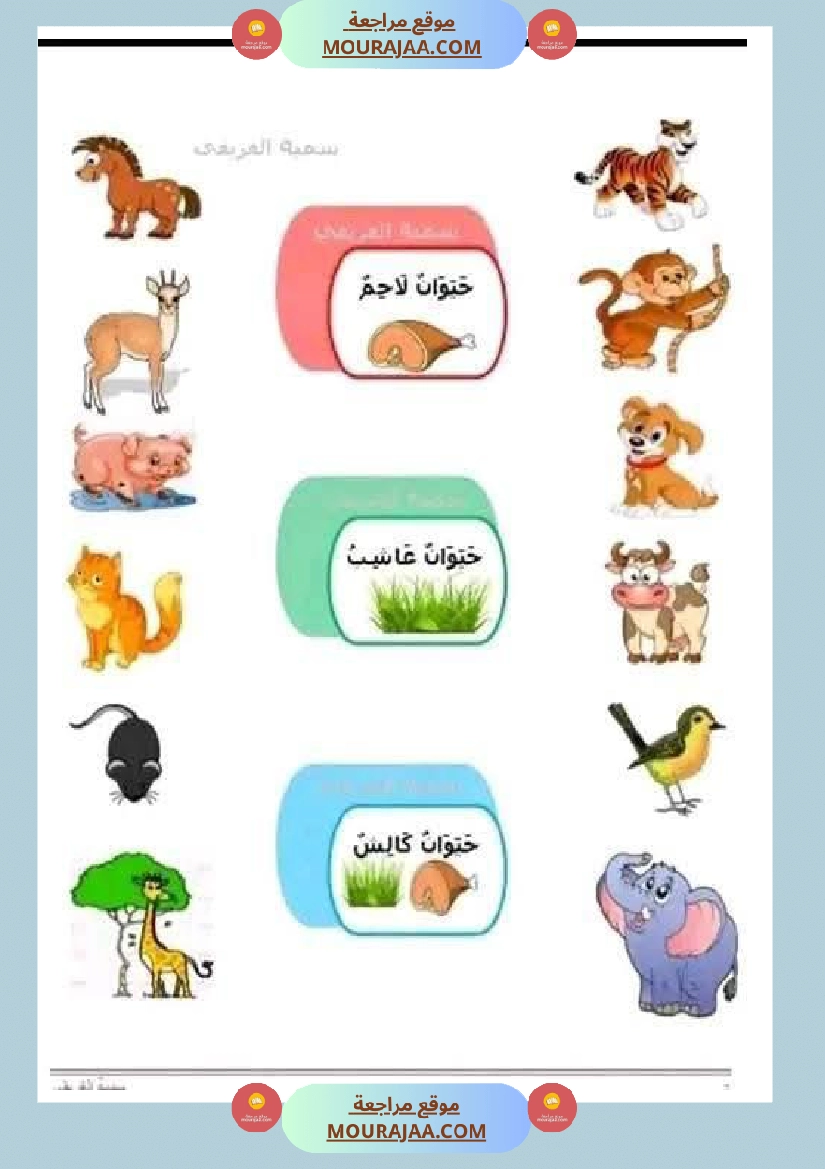 ايقاظ علمي لأبطال السنة الاولى صفحة 17