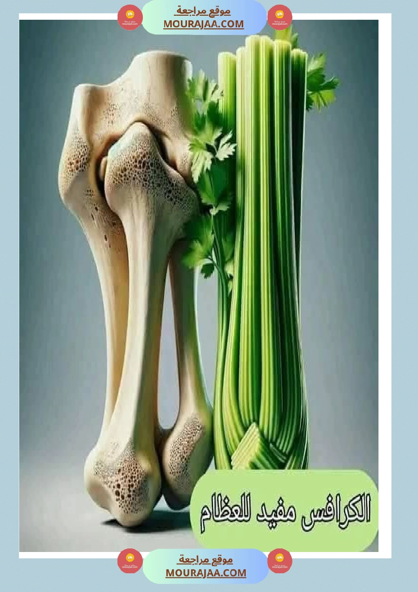 اهم الاطعمة المفيدة لأ عضاء الجسم في شكل مميز جدا صفحة 2