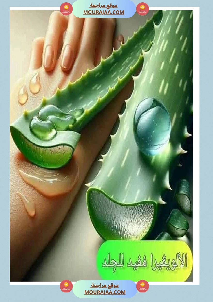 اهم الاطعمة المفيدة لأ عضاء الجسم في شكل مميز جدا صفحة 12