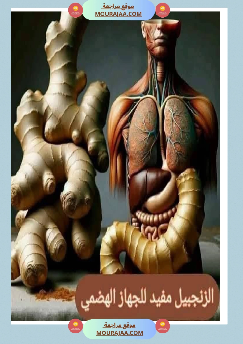 اهم الاطعمة المفيدة لأ عضاء الجسم في شكل مميز جدا صفحة 13