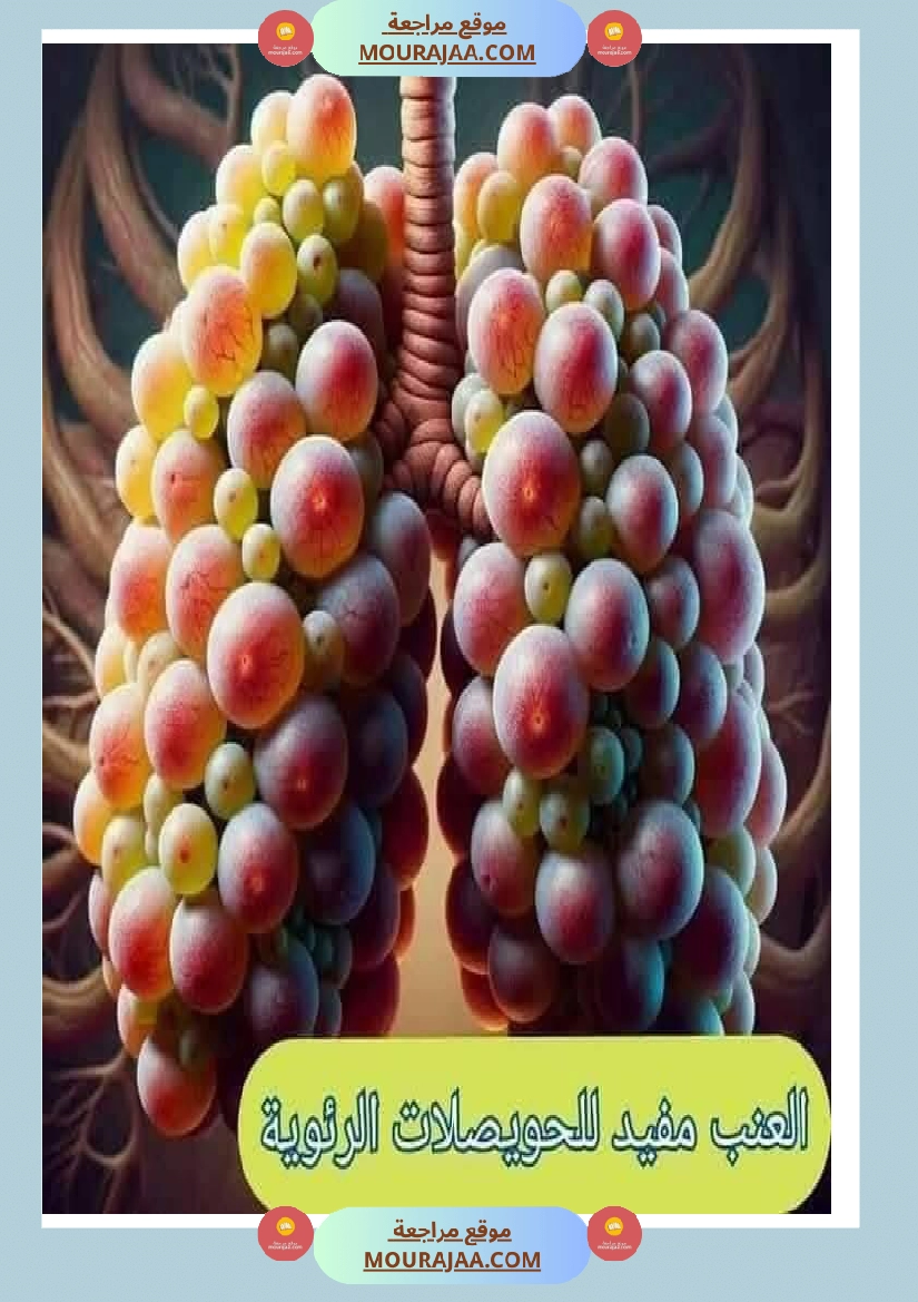 اهم الاطعمة المفيدة لأ عضاء الجسم في شكل مميز جدا صفحة 3