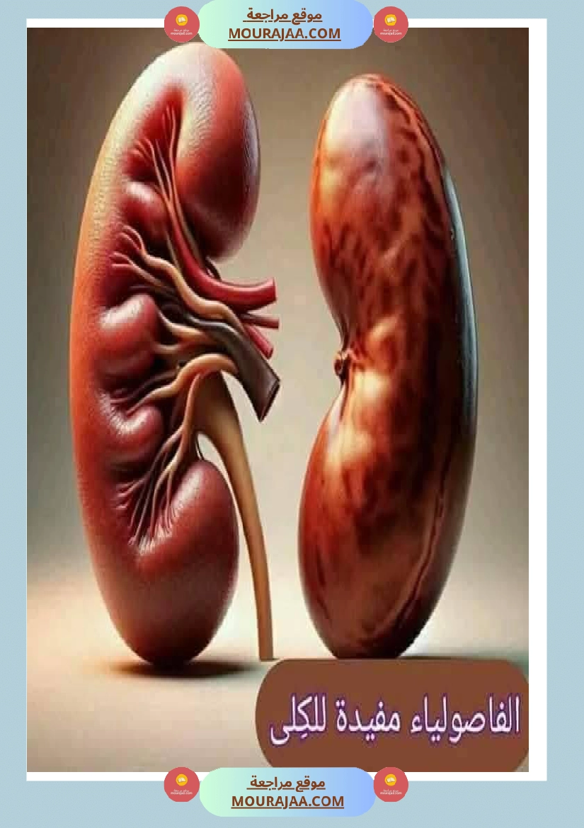 اهم الاطعمة المفيدة لأ عضاء الجسم في شكل مميز جدا صفحة 5