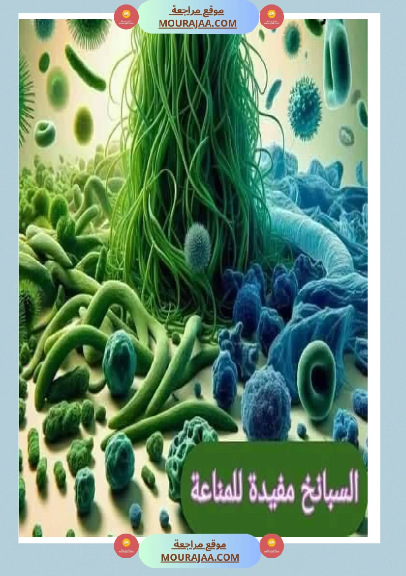 اهم الاطعمة المفيدة لأ عضاء الجسم في شكل مميز جدا صفحة 6