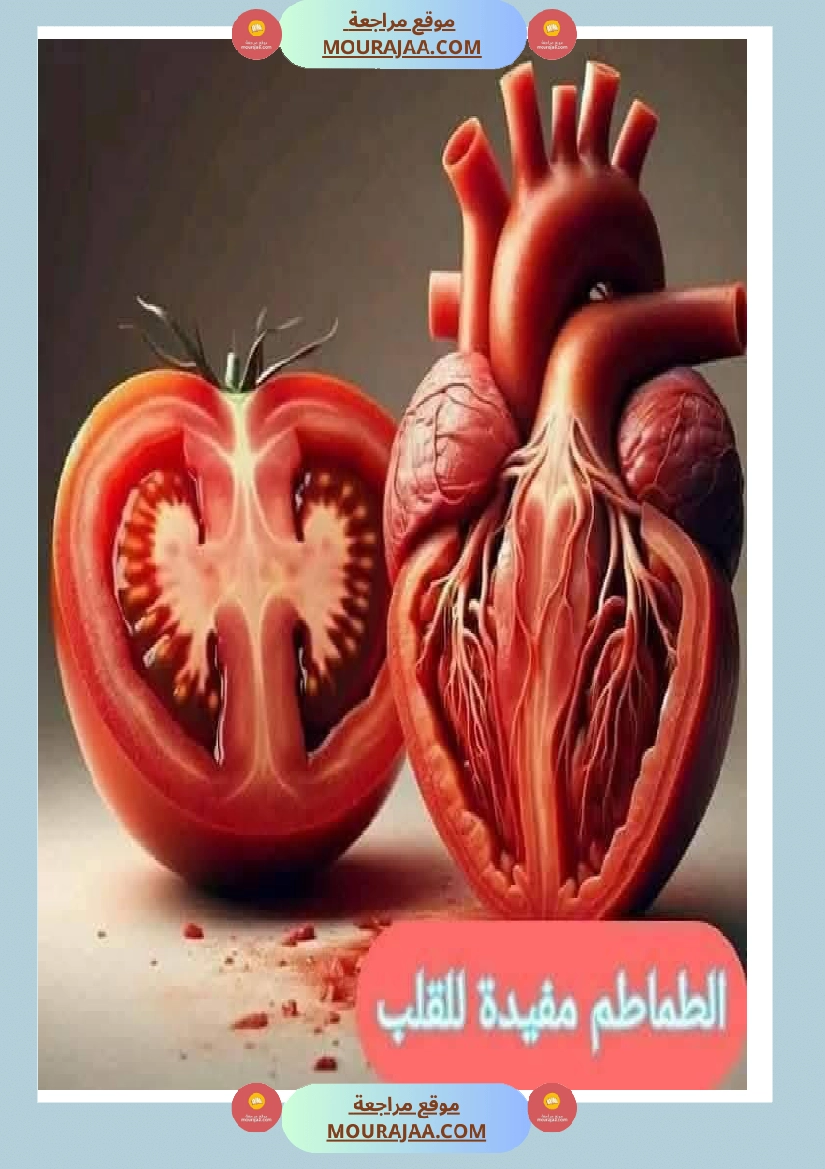 اهم الاطعمة المفيدة لأ عضاء الجسم في شكل مميز جدا صفحة 7