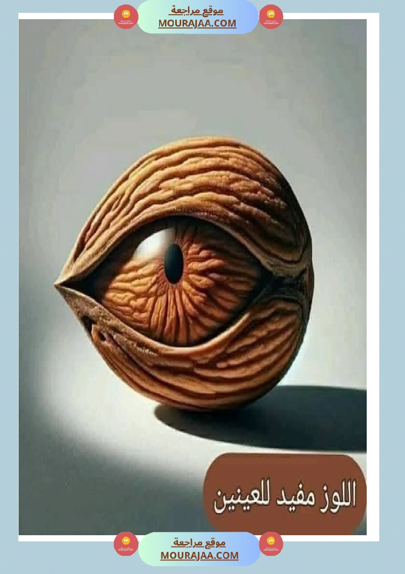 اهم الاطعمة المفيدة لأ عضاء الجسم في شكل مميز جدا صفحة 8