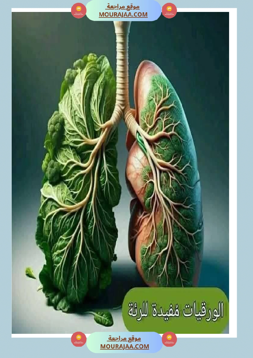 اهم الاطعمة المفيدة لأ عضاء الجسم في شكل مميز جدا صفحة 10