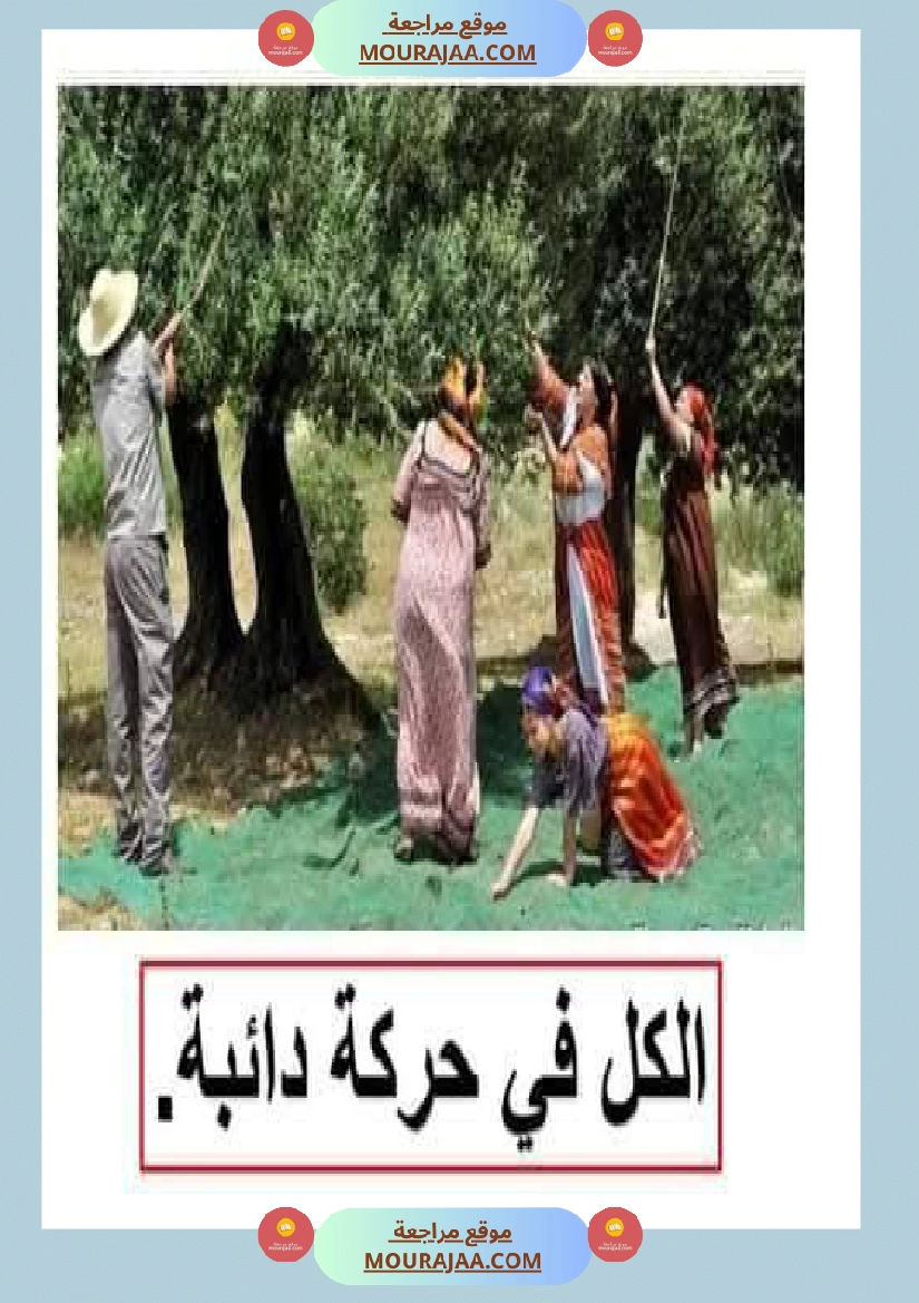 إنتاح كتابي حول جني الزيتون سنة الرابعة صفحة 2