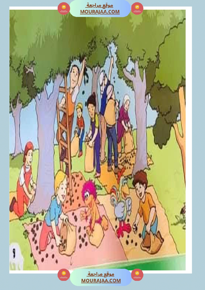 إنتاح كتابي حول جني الزيتون سنة الرابعة صفحة 12