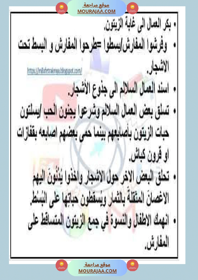 إنتاح كتابي حول جني الزيتون سنة الرابعة صفحة 16