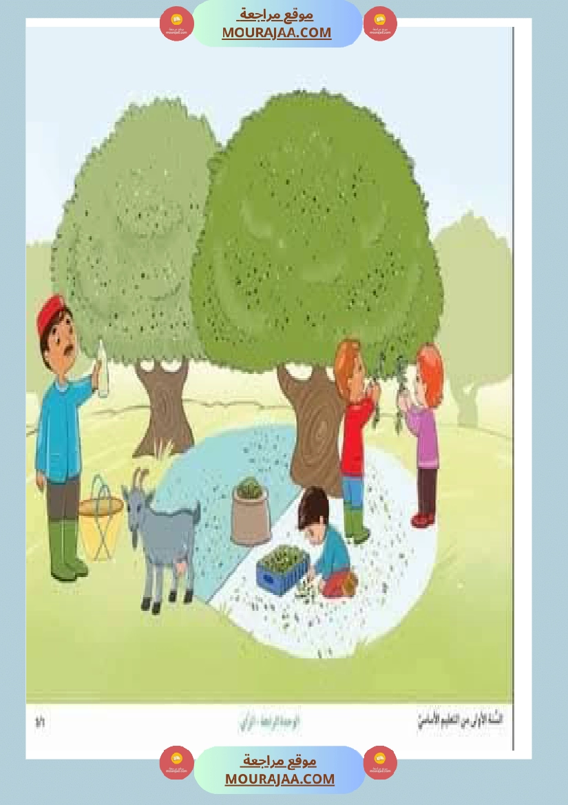 إنتاح كتابي حول جني الزيتون سنة الرابعة صفحة 14